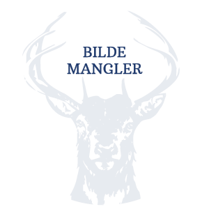 Lychee In Syrup 565Gx12 Delisphere